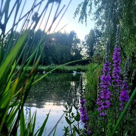 La D'aurel De 140m2, 2 Hectares De Nature Fruges