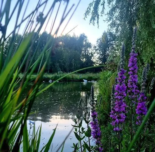 La D'aurel De 140m2, 2 Hectares De Nature Fruges